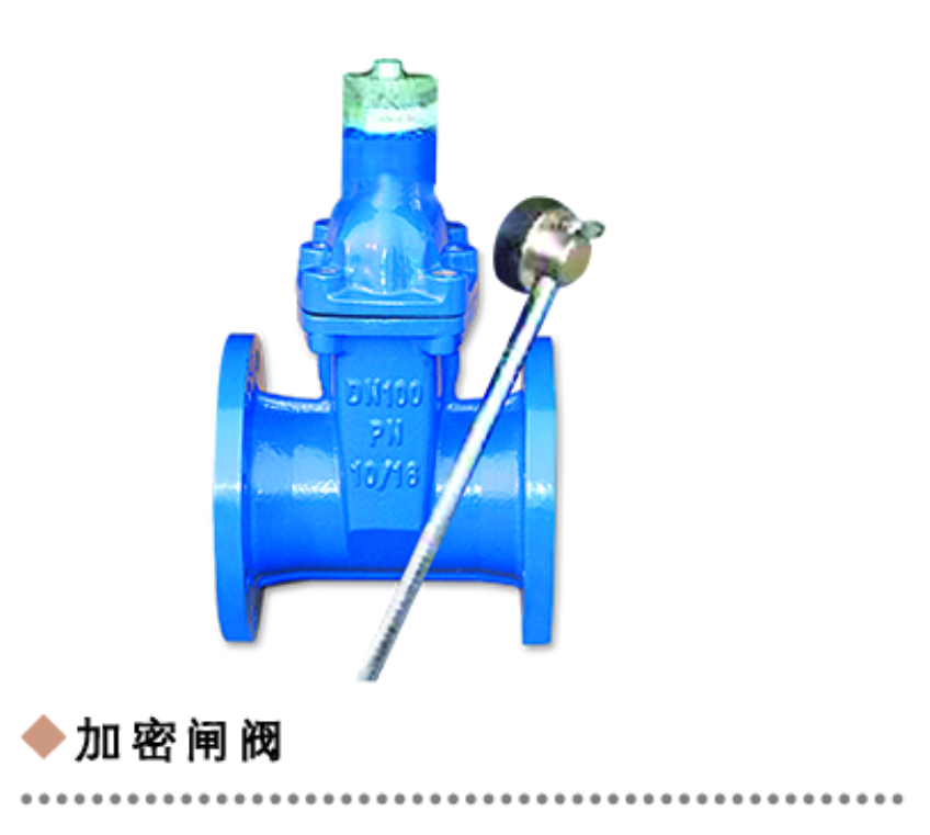加密闸阀