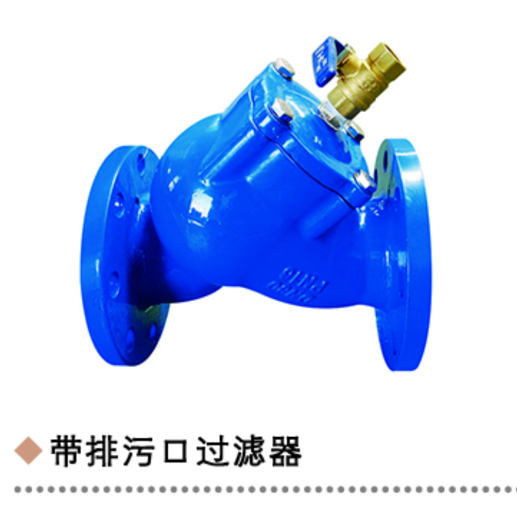 带排污口过滤器